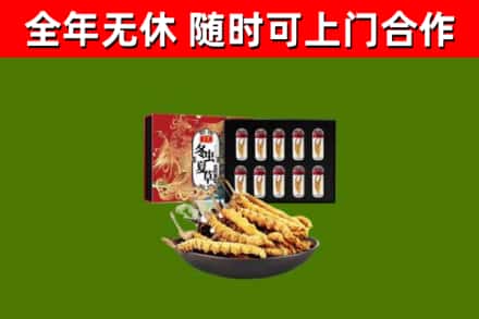 鼎城回收冬虫夏草价格